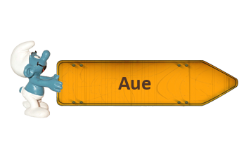 Pflegestützpunkte in Aue