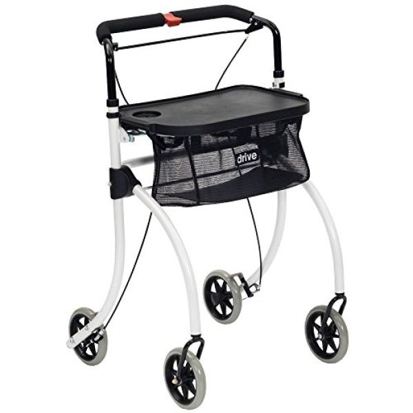 Indoor Rollator Roomba